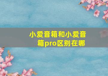 小爱音箱和小爱音箱pro区别在哪