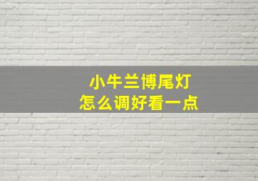 小牛兰博尾灯怎么调好看一点