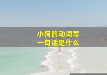 小狗的动词写一句话是什么