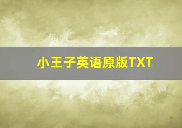 小王子英语原版TXT