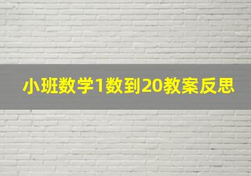 小班数学1数到20教案反思