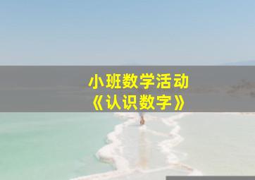 小班数学活动《认识数字》