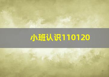 小班认识110120