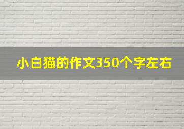 小白猫的作文350个字左右