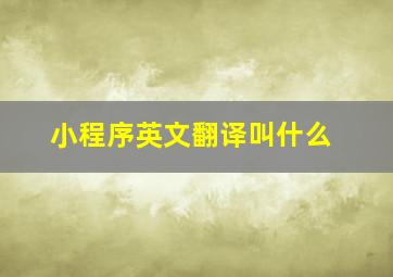 小程序英文翻译叫什么