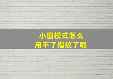 小窗模式怎么用不了指纹了呢