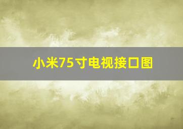 小米75寸电视接口图