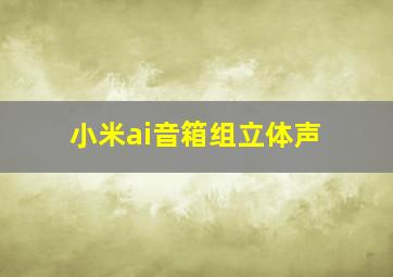 小米ai音箱组立体声