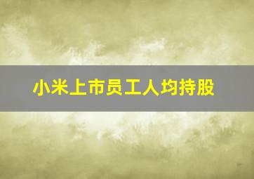 小米上市员工人均持股