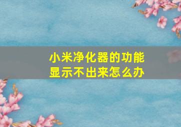 小米净化器的功能显示不出来怎么办