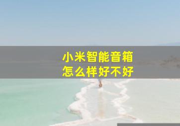 小米智能音箱怎么样好不好