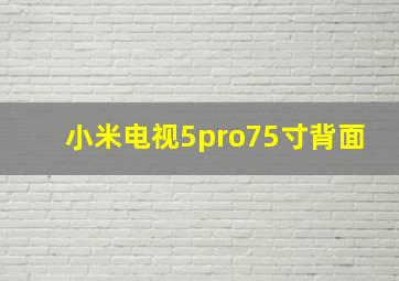 小米电视5pro75寸背面