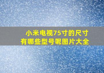 小米电视75寸的尺寸有哪些型号呢图片大全