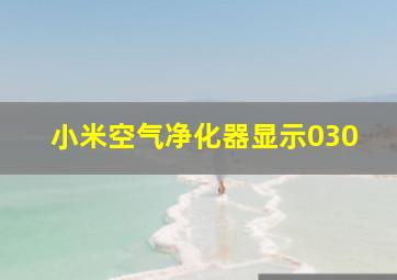 小米空气净化器显示030