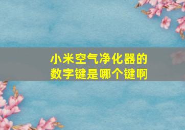 小米空气净化器的数字键是哪个键啊