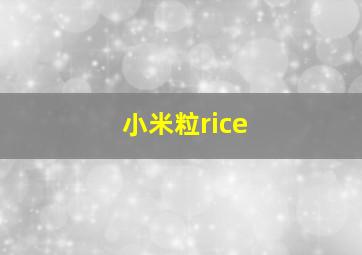 小米粒rice