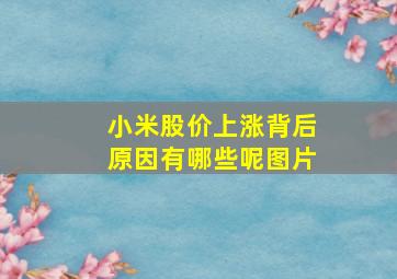 小米股价上涨背后原因有哪些呢图片