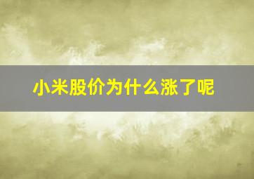 小米股价为什么涨了呢