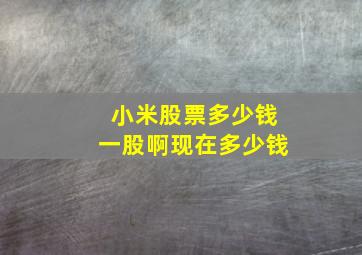 小米股票多少钱一股啊现在多少钱