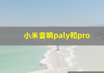 小米音响paly和pro