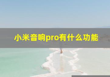 小米音响pro有什么功能