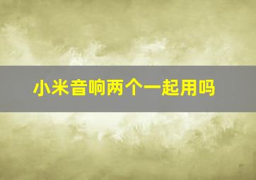 小米音响两个一起用吗