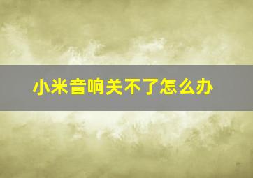 小米音响关不了怎么办