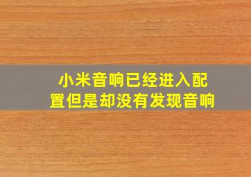 小米音响已经进入配置但是却没有发现音响