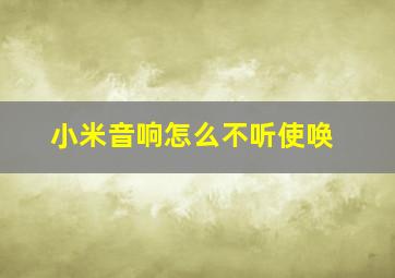 小米音响怎么不听使唤