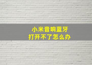 小米音响蓝牙打开不了怎么办