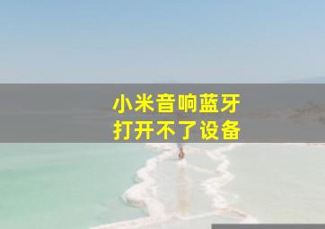 小米音响蓝牙打开不了设备