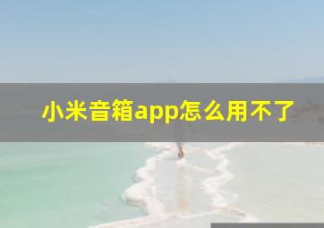 小米音箱app怎么用不了