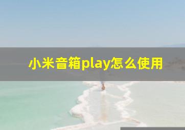 小米音箱play怎么使用