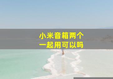 小米音箱两个一起用可以吗