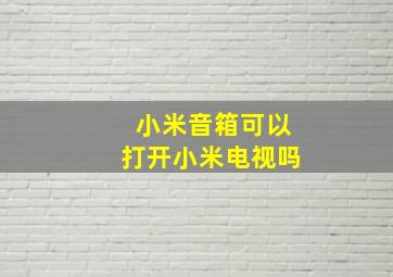 小米音箱可以打开小米电视吗