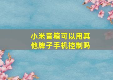 小米音箱可以用其他牌子手机控制吗