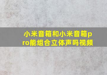 小米音箱和小米音箱pro能组合立体声吗视频