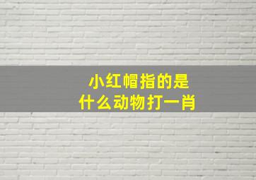 小红帽指的是什么动物打一肖