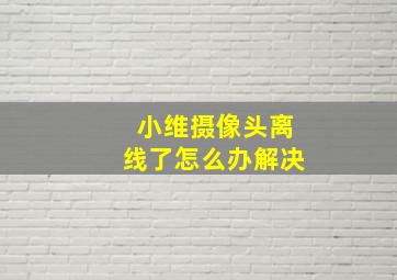 小维摄像头离线了怎么办解决