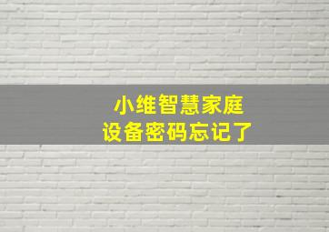 小维智慧家庭设备密码忘记了