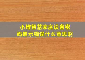 小维智慧家庭设备密码提示错误什么意思啊