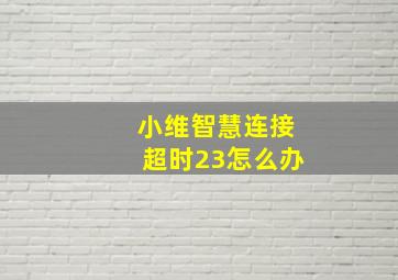 小维智慧连接超时23怎么办