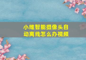 小维智能摄像头自动离线怎么办视频