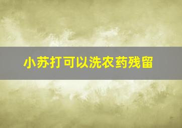 小苏打可以洗农药残留