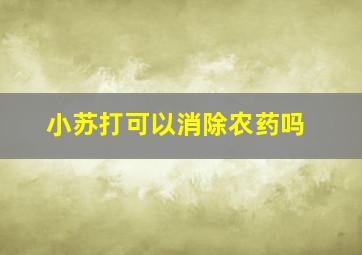 小苏打可以消除农药吗