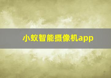 小蚁智能摄像机app