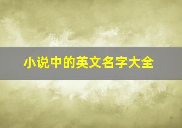 小说中的英文名字大全