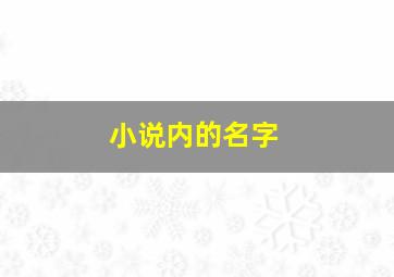 小说内的名字