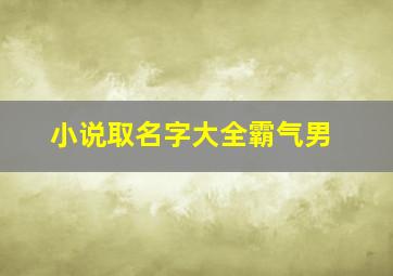 小说取名字大全霸气男