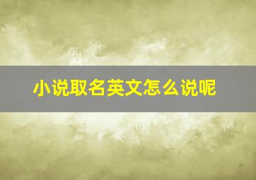 小说取名英文怎么说呢